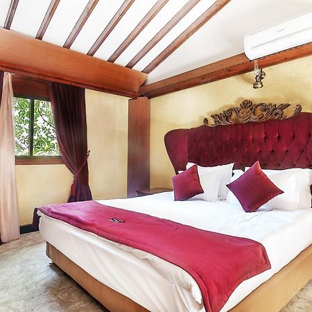 Le Chateau Lambousa Lapithos  Bilik gambar